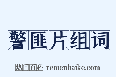 警匪片组词是什么意思的图片